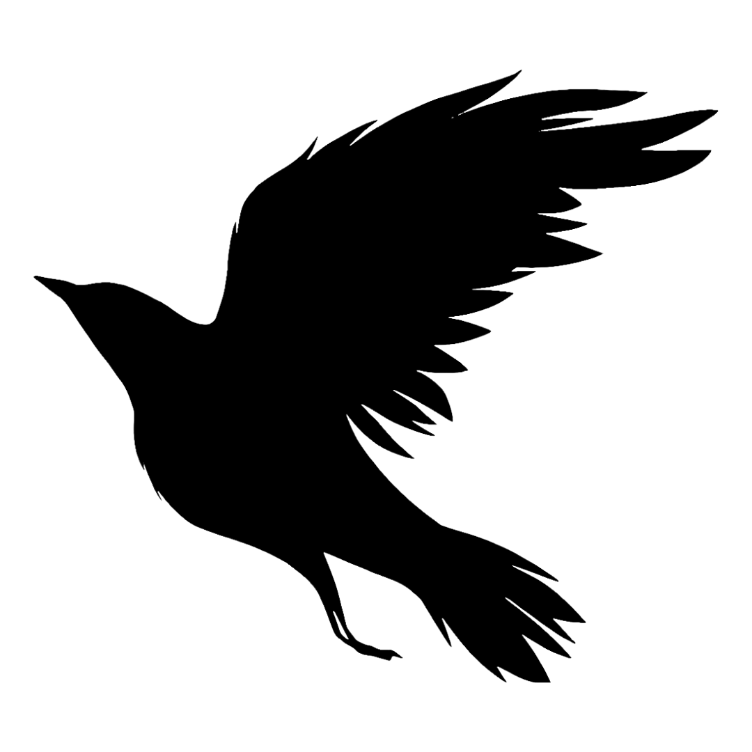 The FDS Project logo